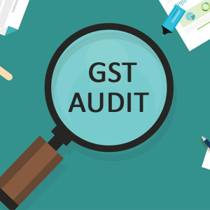 audit-provisions-under-gst