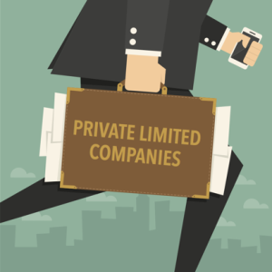 private-limited-company private-limited-company